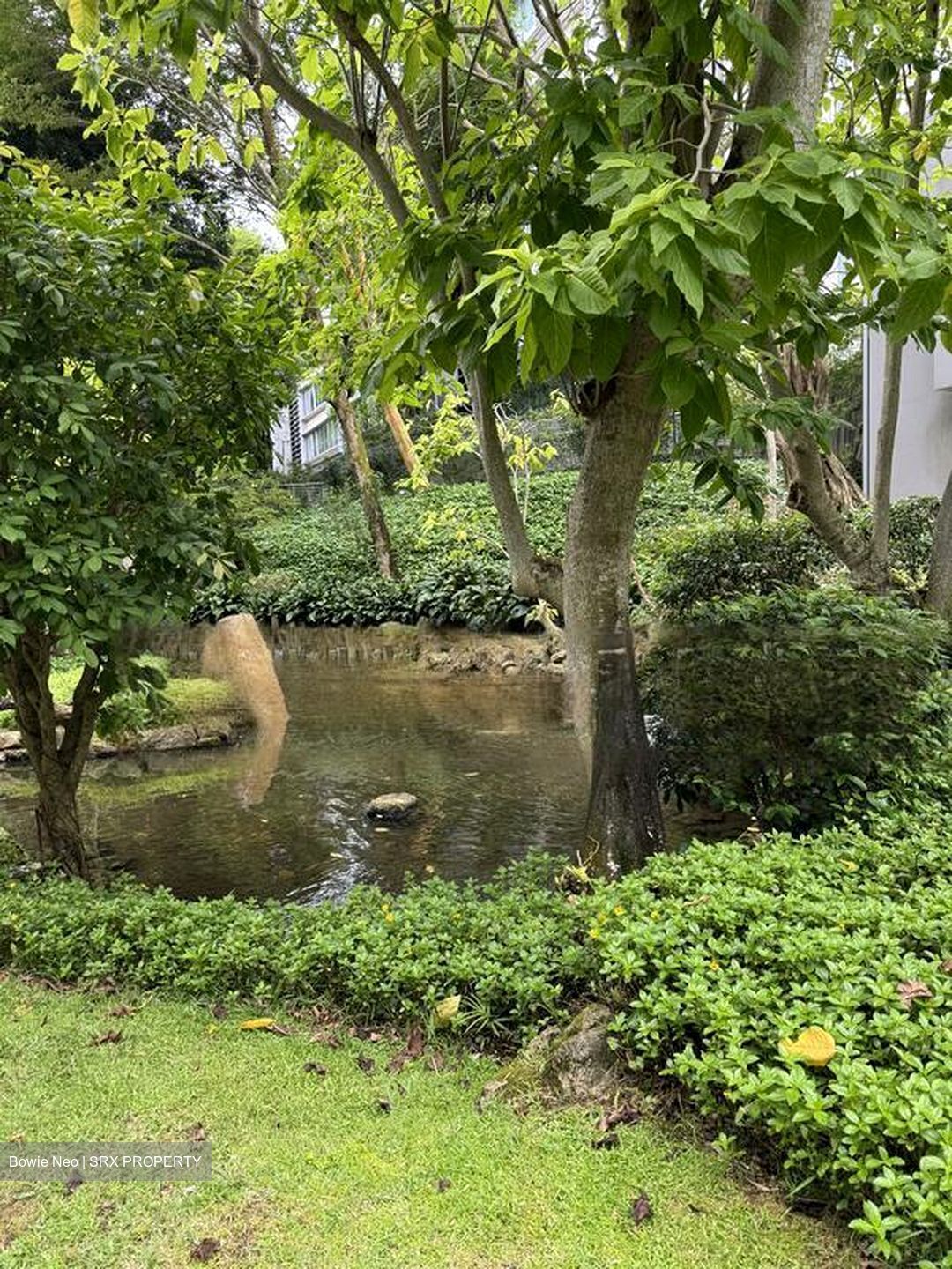 Nassim Park Residences (D10), Condominium #475393211